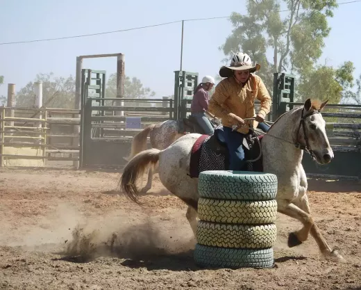 Advancements in Rodeo Training: The Modern Approach
