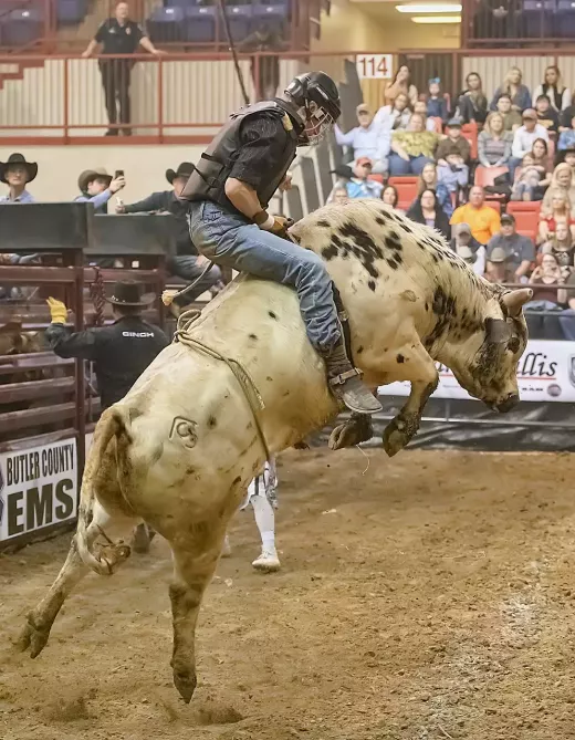 5 Proven Techniques for Mastering Bull Riding