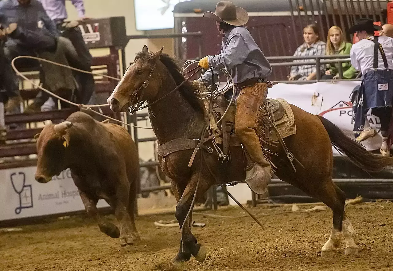 Top 10 Achievements of Rodeo Associations in the Last Decade