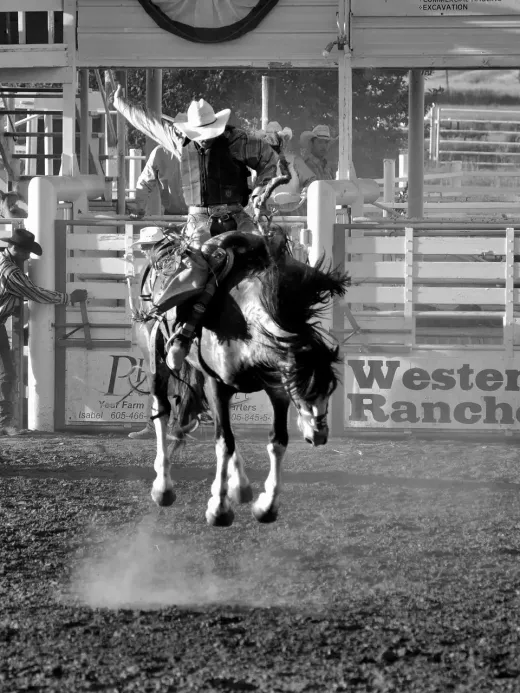 How Rodeo Associations are Advancing Athlete Safety